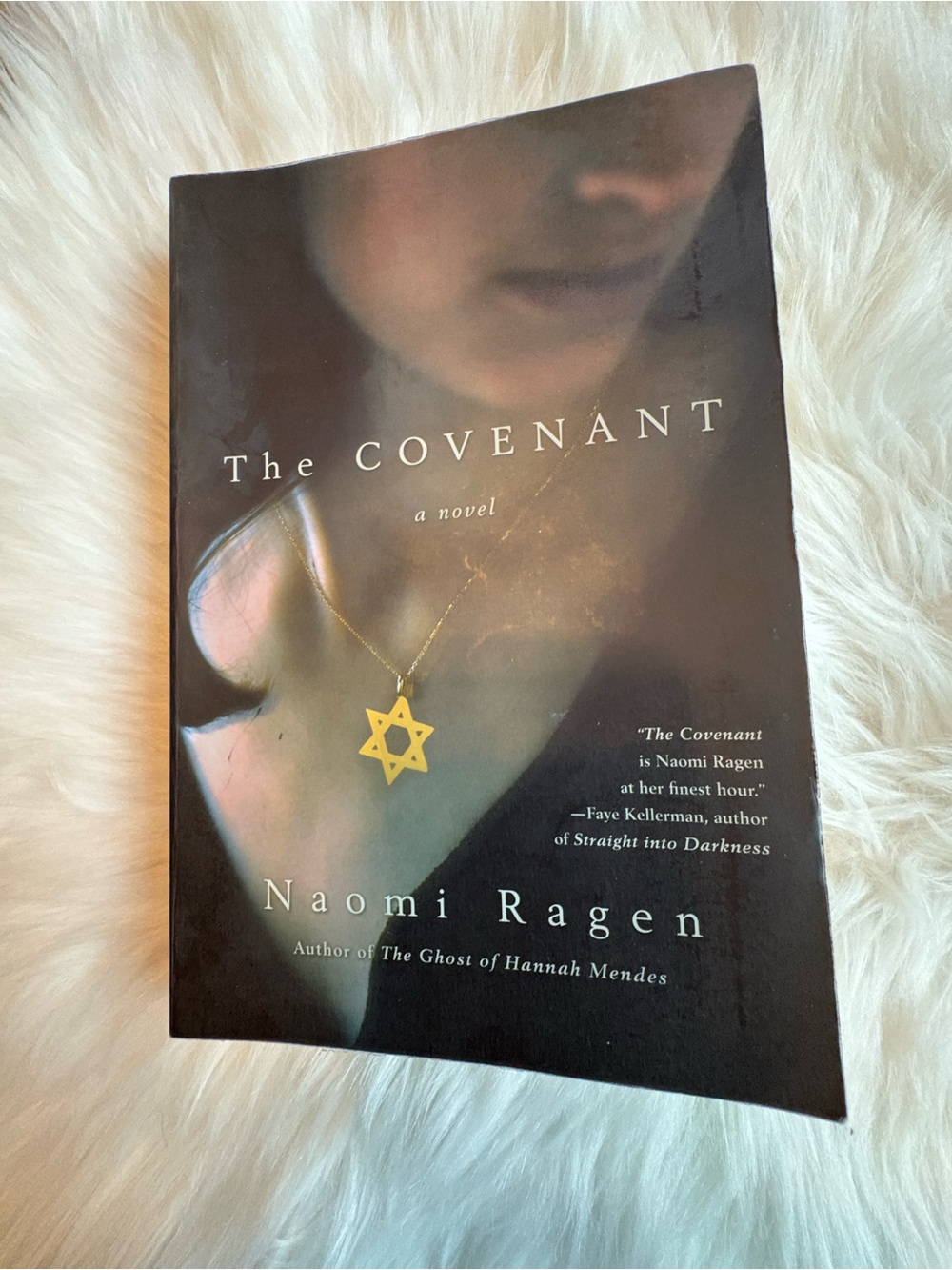 The Covenant by Naomi Ragen – Paperback